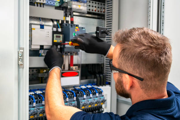 Best Electric Panel Repair  in Sunland Park, NM